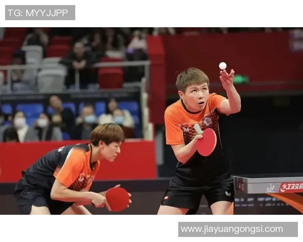 武汉乒乓球队总决赛特别报道:从艰辛历程到辉煌突破的精彩瞬间