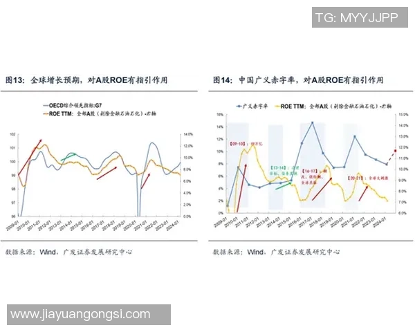 深圳排球队的成功之道：深度解析其运营模式与发展策略